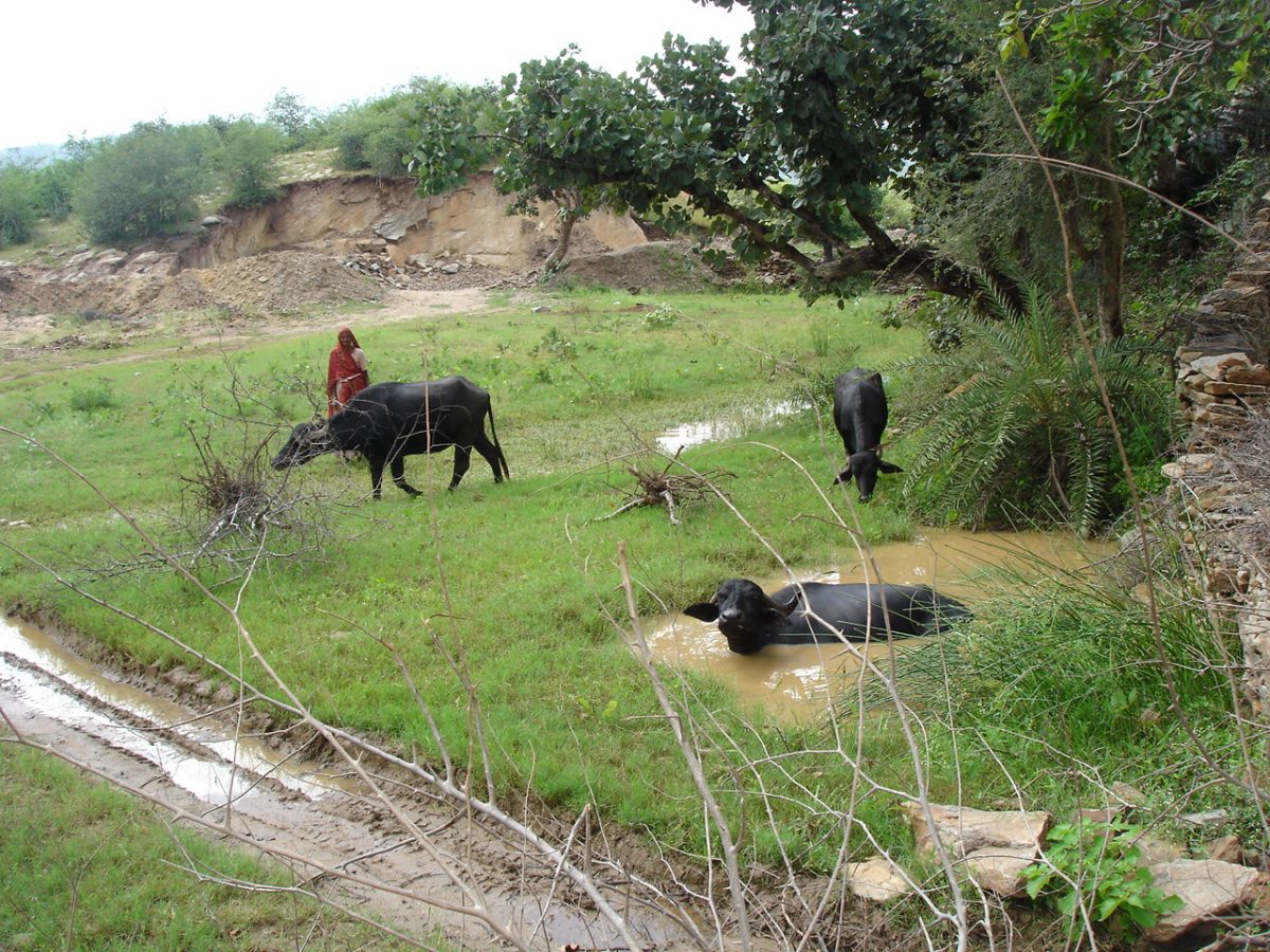 Convergence program activities 1