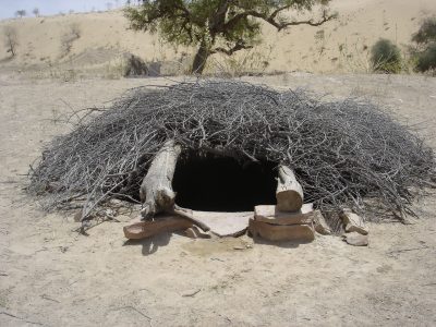 Convergence program activities 3