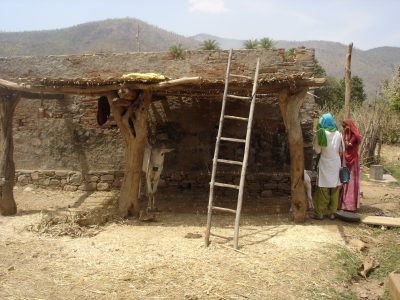 Tribal governance project activities 2