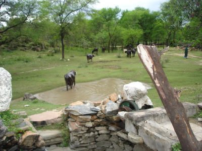 Tribal governance project activities 3