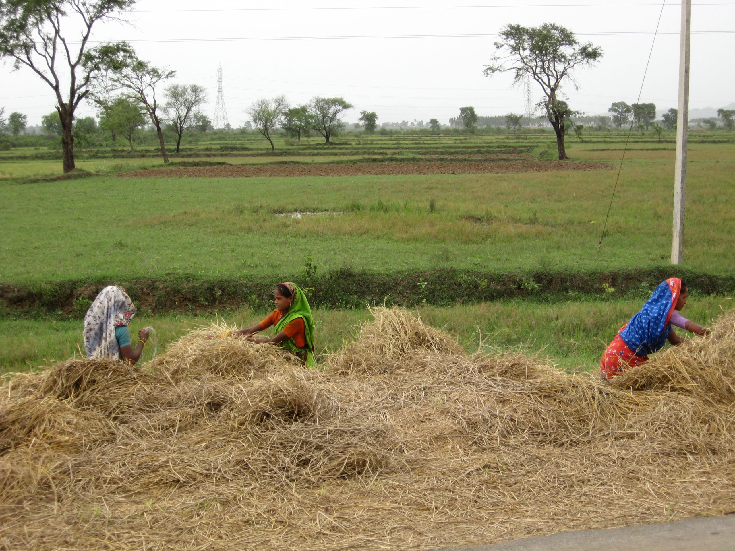 Women in Agriculture